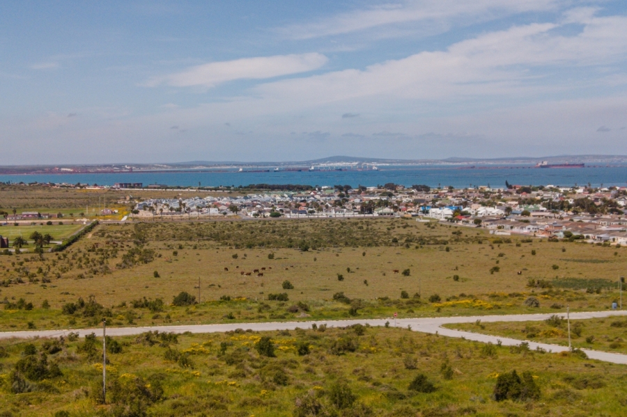 0 Bedroom Property for Sale in Welgedaan Estate Western Cape